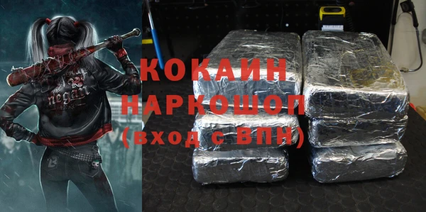 дживик Белокуриха